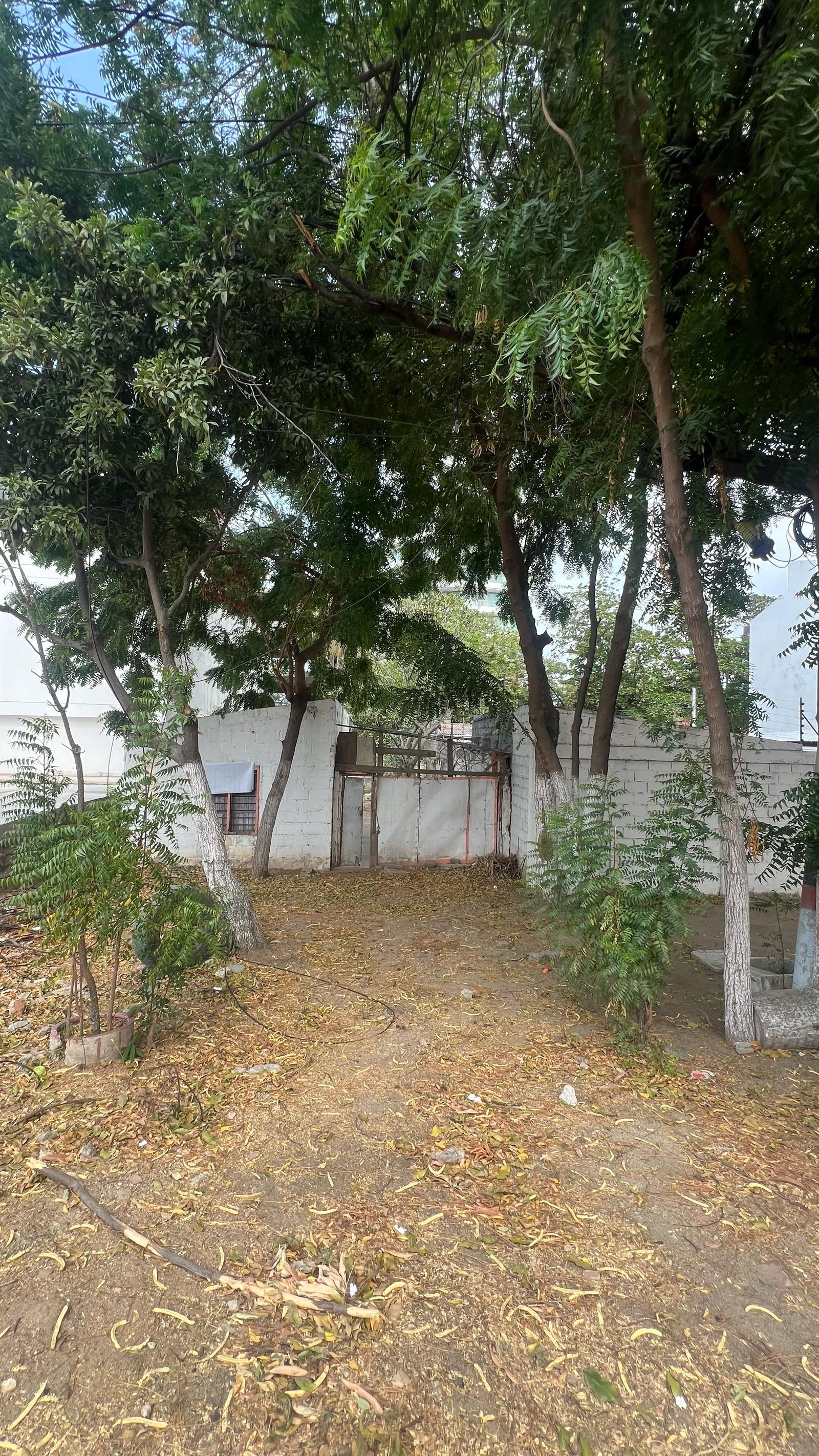 Lote en venta en la paz, Santa Marta Magdalena 2
